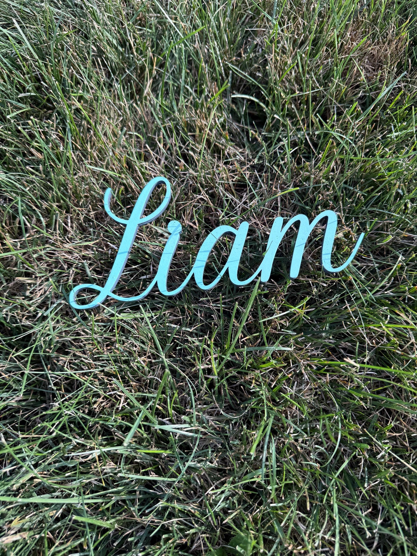 Custom Wooden Name Sign – Personalized Kids Room Door Sign – Nursery Wall Décor – Free Shipping